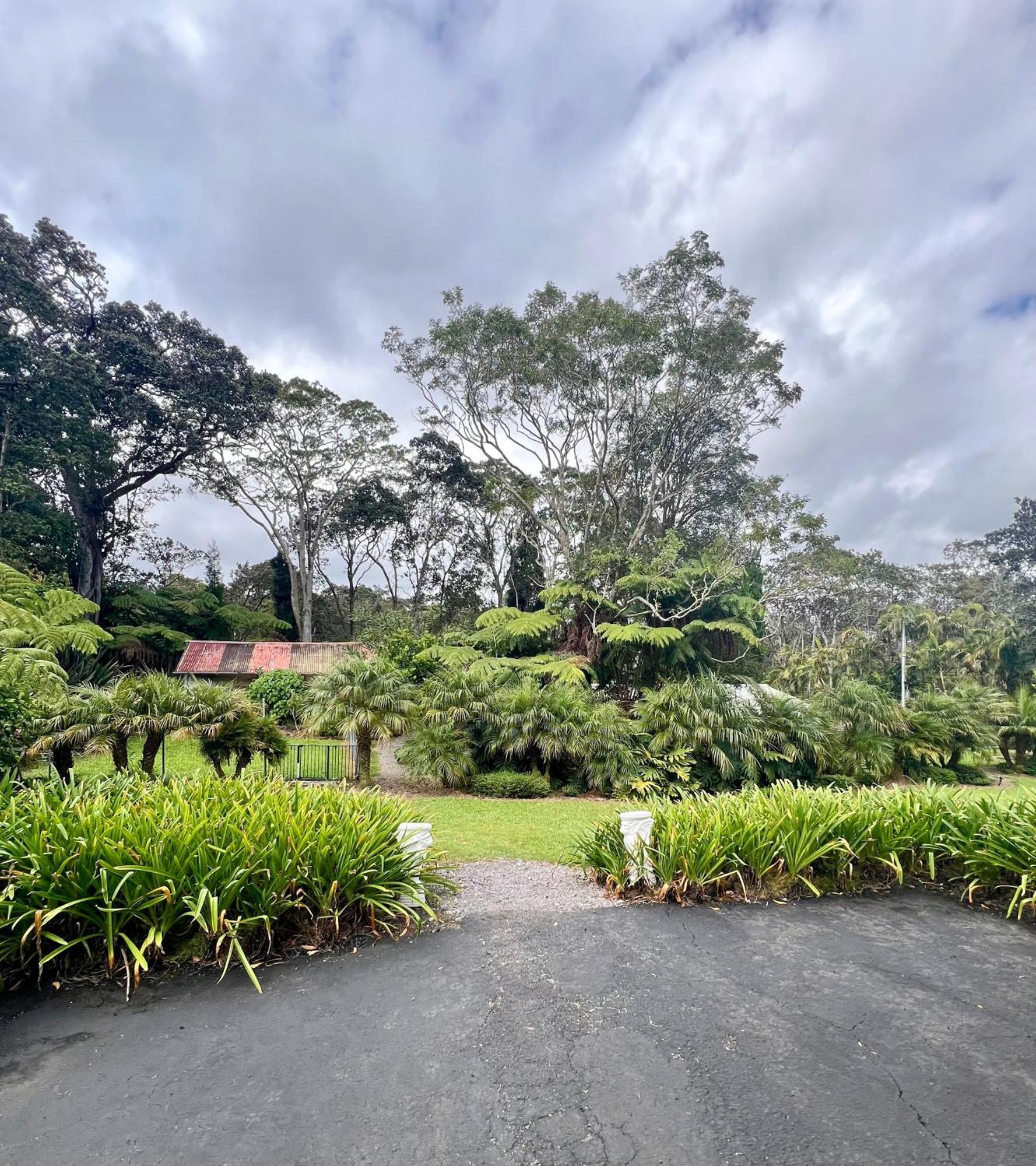 Aloha Junction Bed And Breakfast -Minutes Away From Hawaii Volcanoes National Park Екстериор снимка